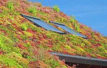 Barrow Common living roof systems