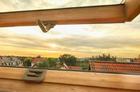 rated Barrow Common roof window companies